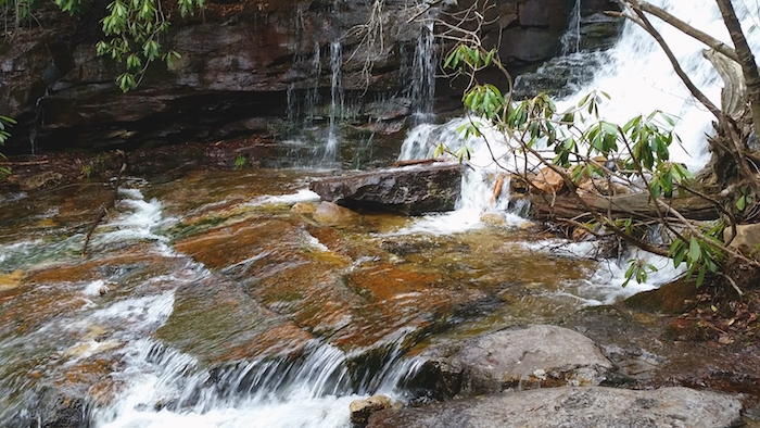 Photo of Glen Onoko Waterfall flowing over rocks with a branch and green leaves on right side