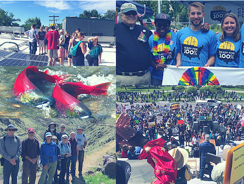 Collage of images, people smiling with a banner, people walking near solar panels, a salmon swimming in a stream