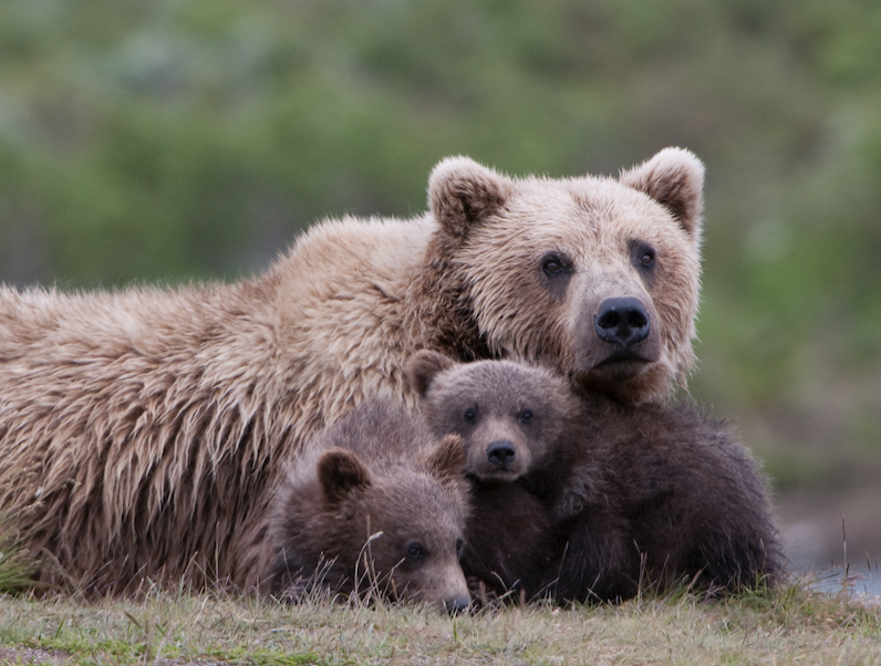 Screenshot 2023-10-05 at 12.17.13 PM.png