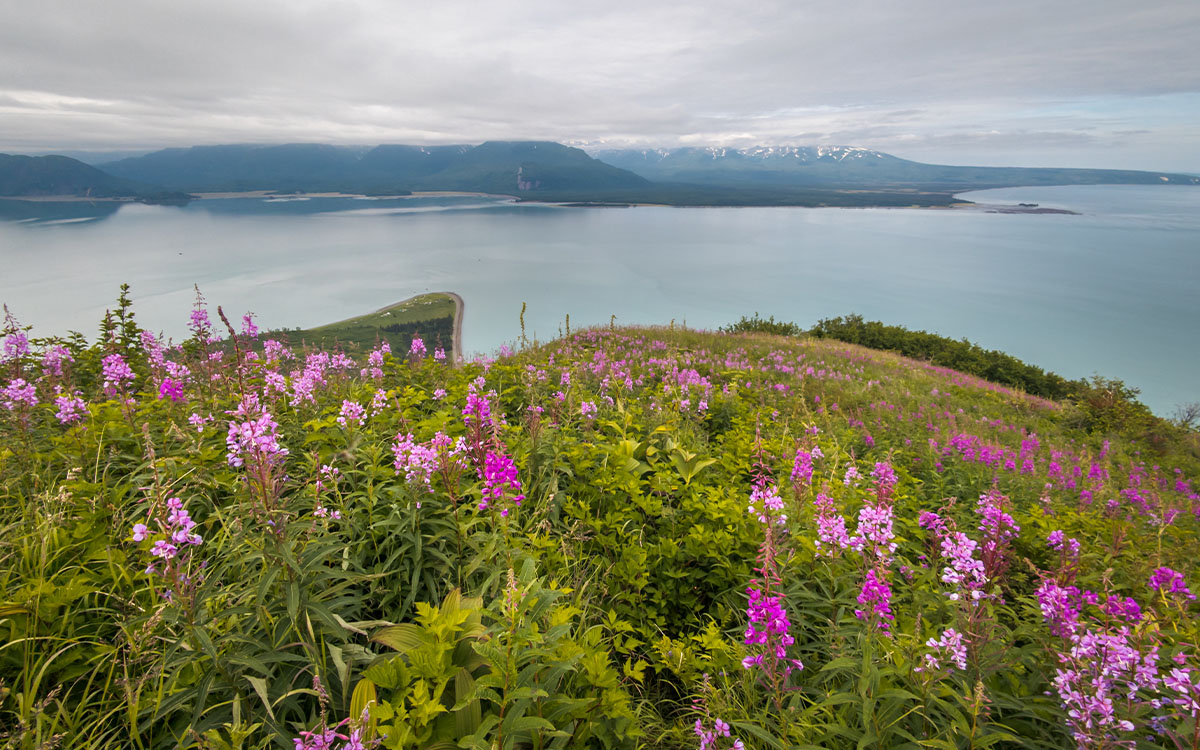 SIERRA-Tuxedni Bay 2-WB.jpg