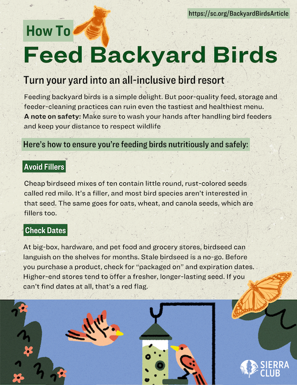 How to Feed Backyard Birds.png