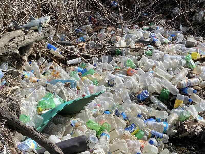 Masonville Creek, South Baltimore.jpg