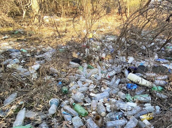 Glen Burnie, near Sawmill Creek, trimmed.jpg