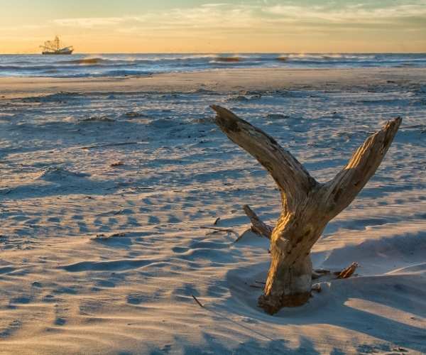 Untitled design (10).jpg