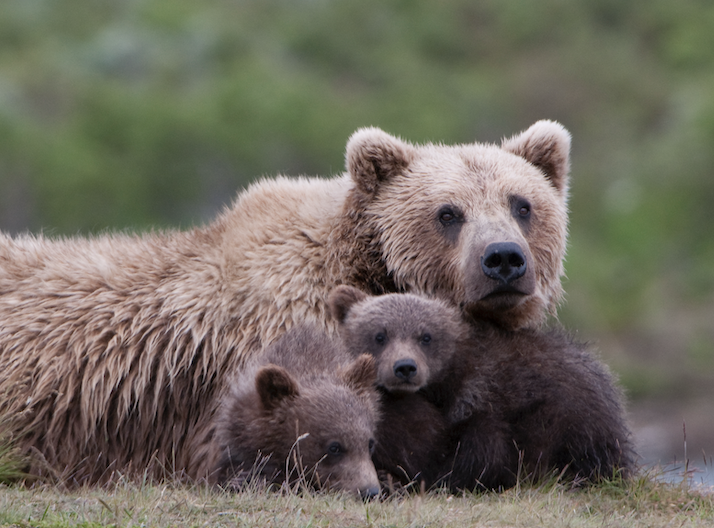 Screenshot 2025-03-21 at 2.44.38 PM.png