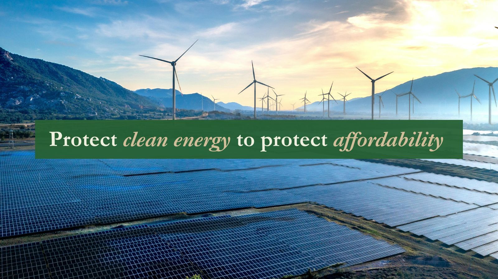 NAT-OFA-Exhibit_Removal (4).jpg