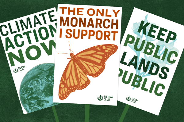 Earth Month - Rally Signs - V1 (7).png