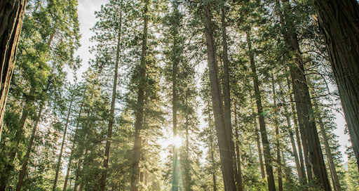 Screenshot 2025-08-15 at 12.49.18 PM.png