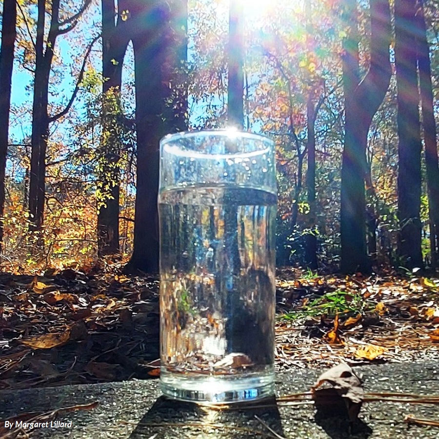 20241121-3 Water glass-MLillard 1000sq.jpg