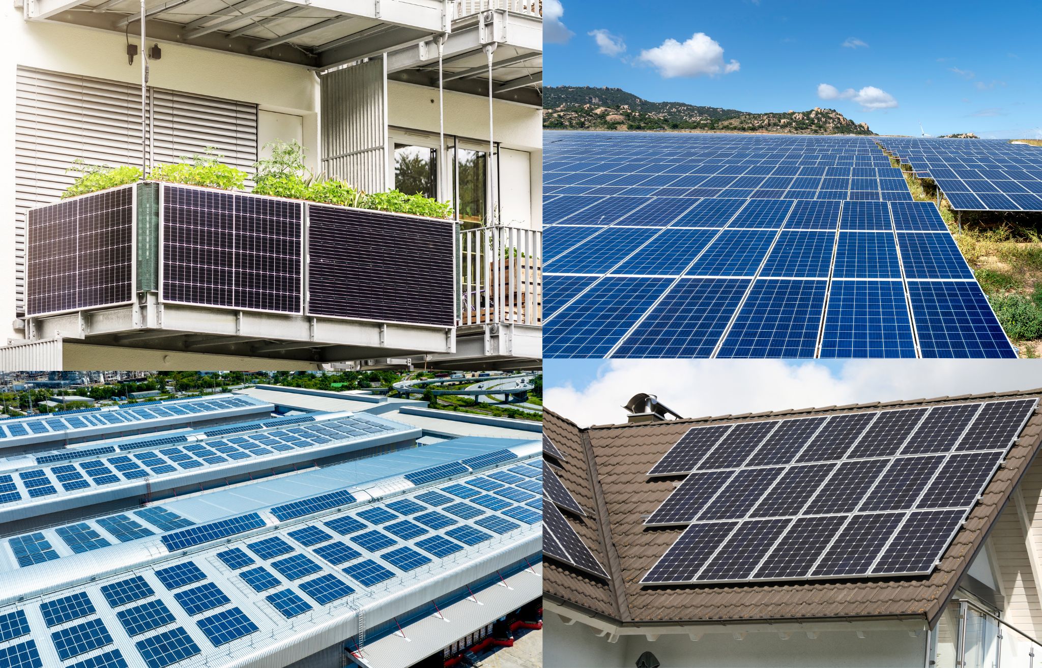Solar Access Petition (1).jpg