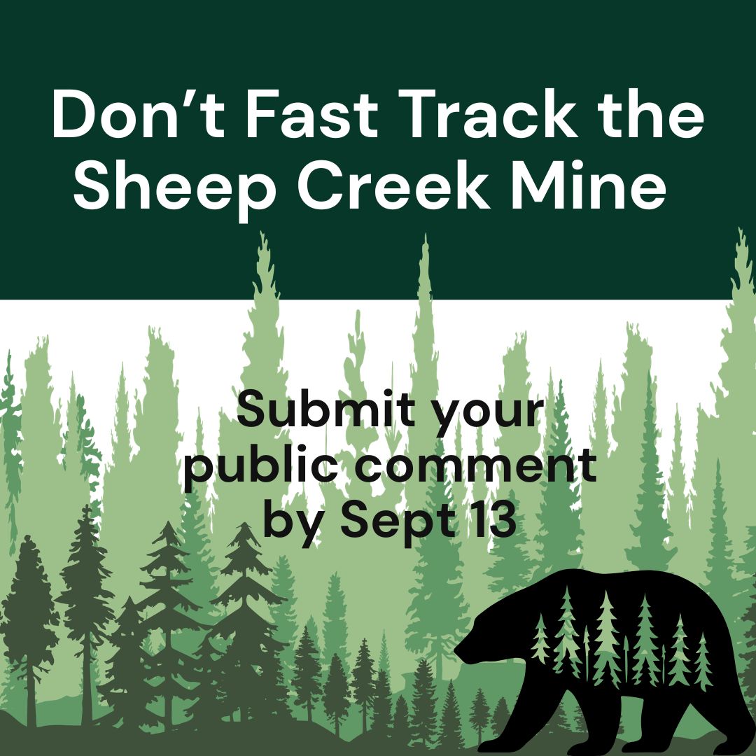 public comment by sept 13.jpg