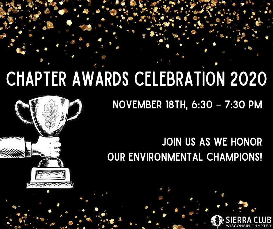 Graphic says "Chapter awards celebration 2020!"
