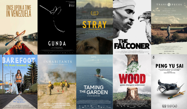 collage of cool films