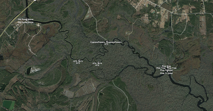 Google Earth view of Black River near Andrews SC