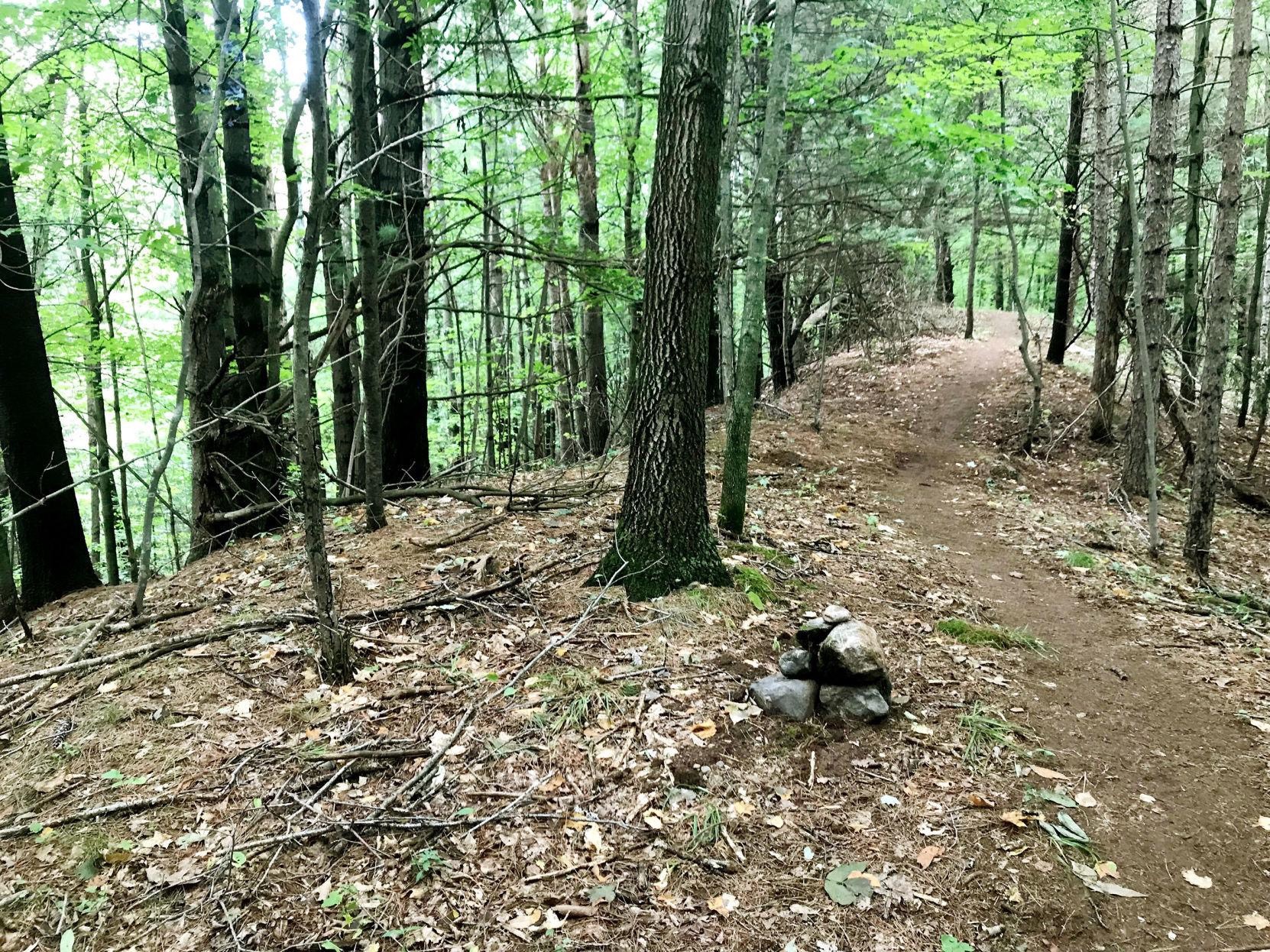 View of trail along esker at Otter Lake Esker Preserve