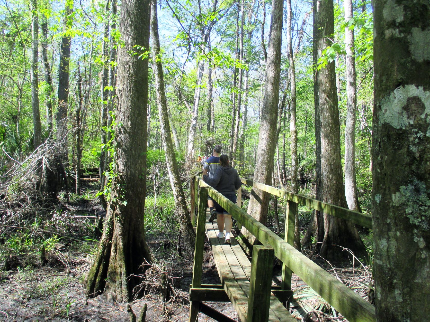 Active/Former Military Members ONLY - Hike the Rice Creek Conservation Area