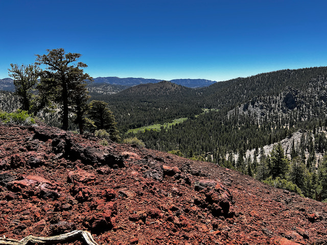 A slope with twisted pine trees covered in red volcanic rock overlooks a forest and distant peaks.