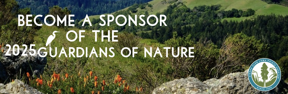 Become a Sponsor