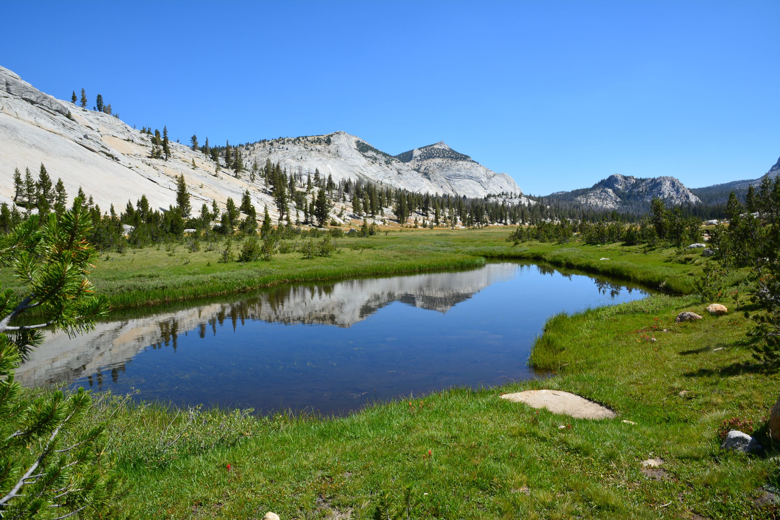 High Sierra