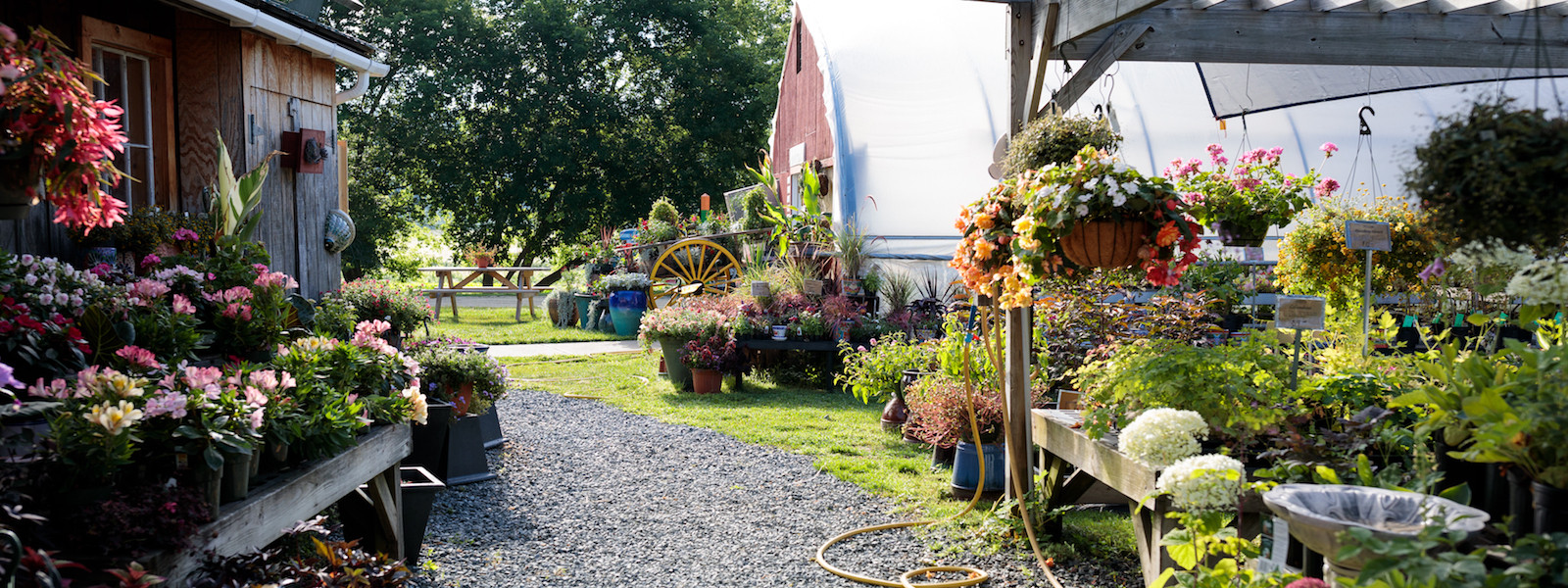 https://cedarcirclefarm.org/