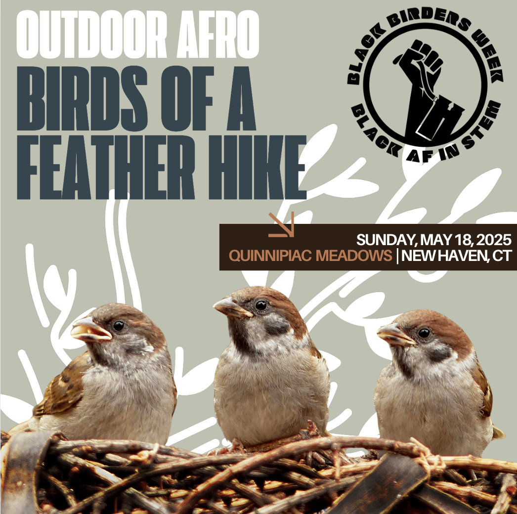 Birds of a Feather Hike