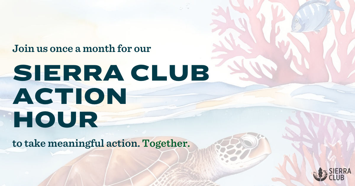 Endangered Species Action Hour