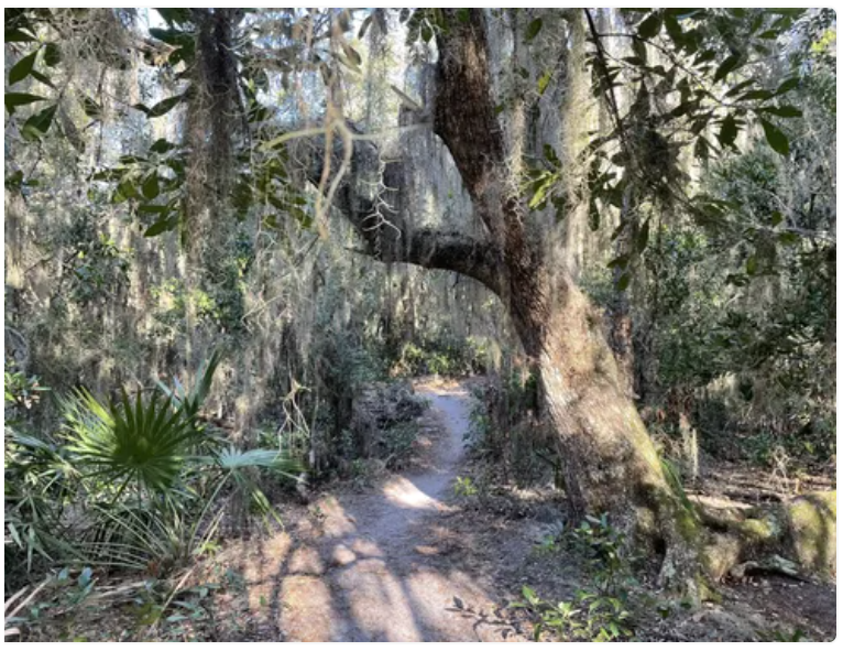 Fort Clinch Multiuse Hiking Trail