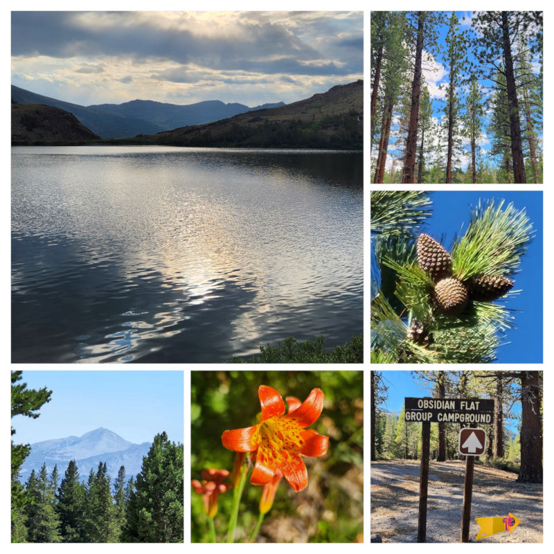 Collage of Eastern Sierra Photos