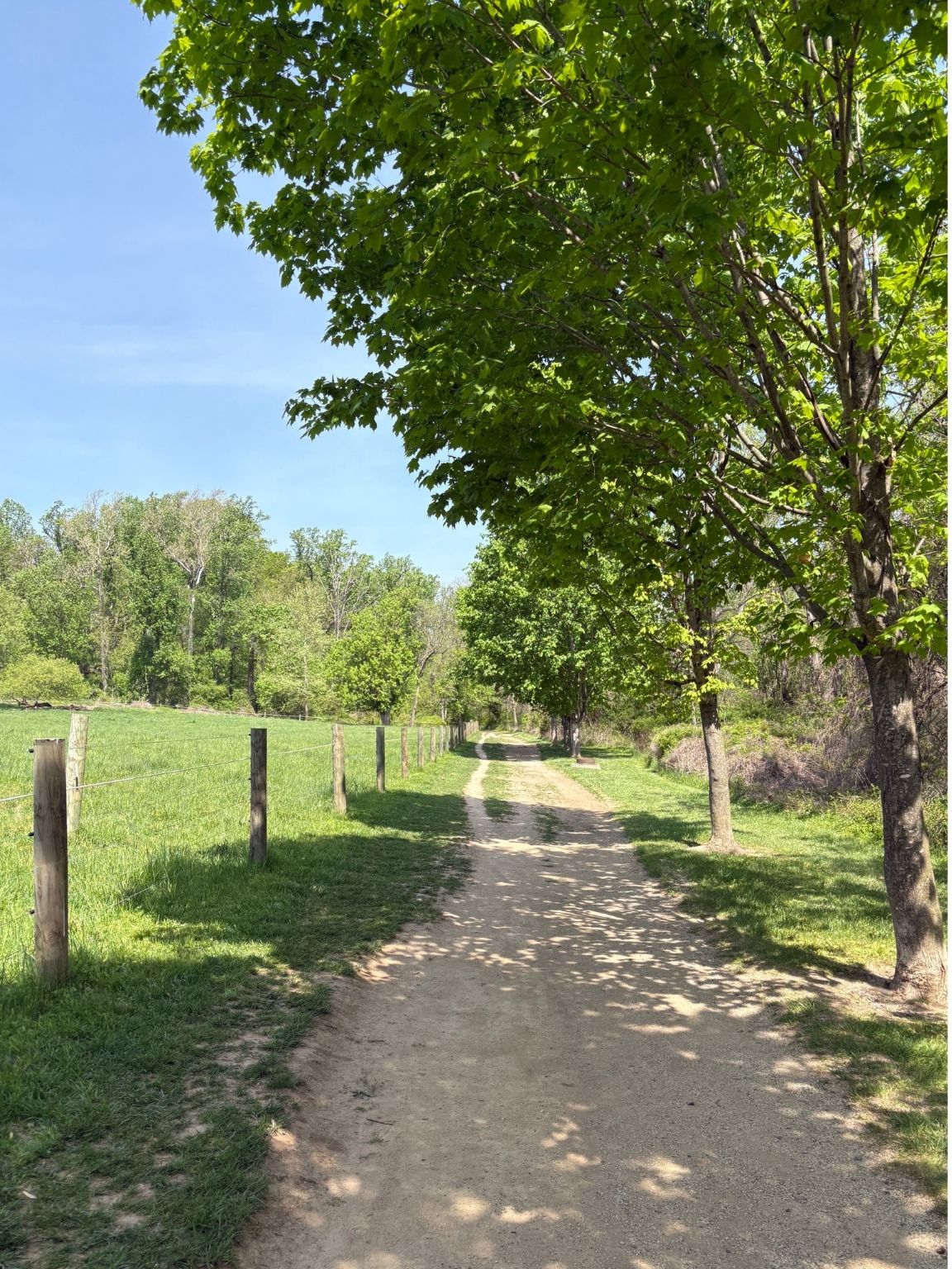 Path along Fox Chase Farm
