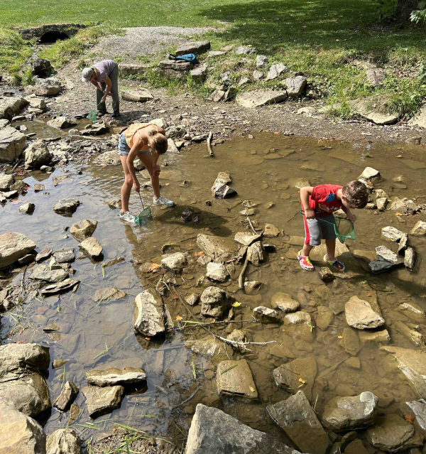 Last year's creek critter search at Mingo. Photo by Janet Bargh.