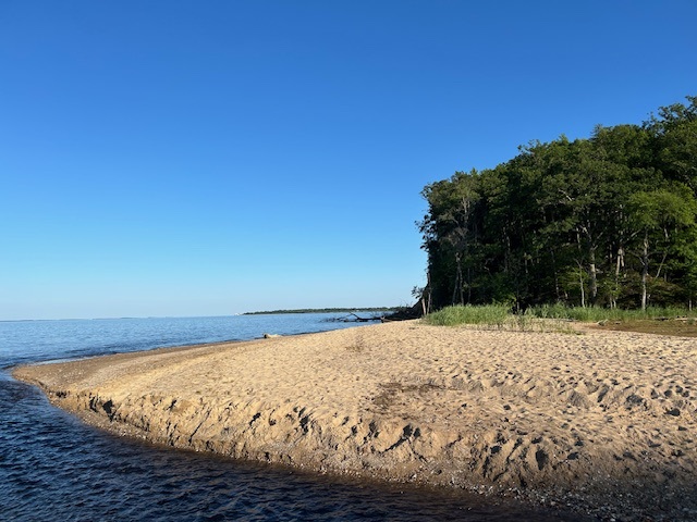 The beach at Calvert Cliffs State Park