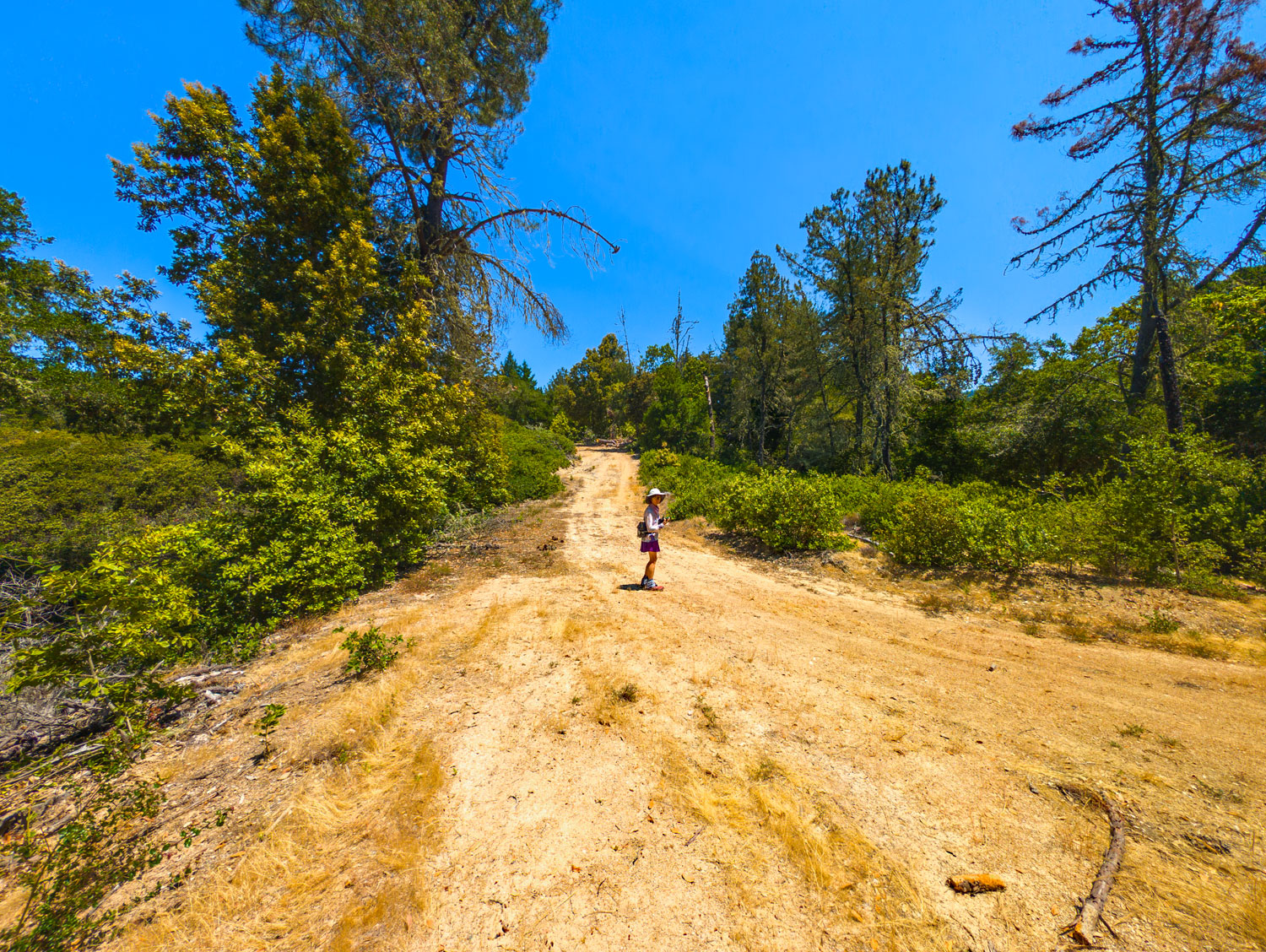 Michael's Summit Trail