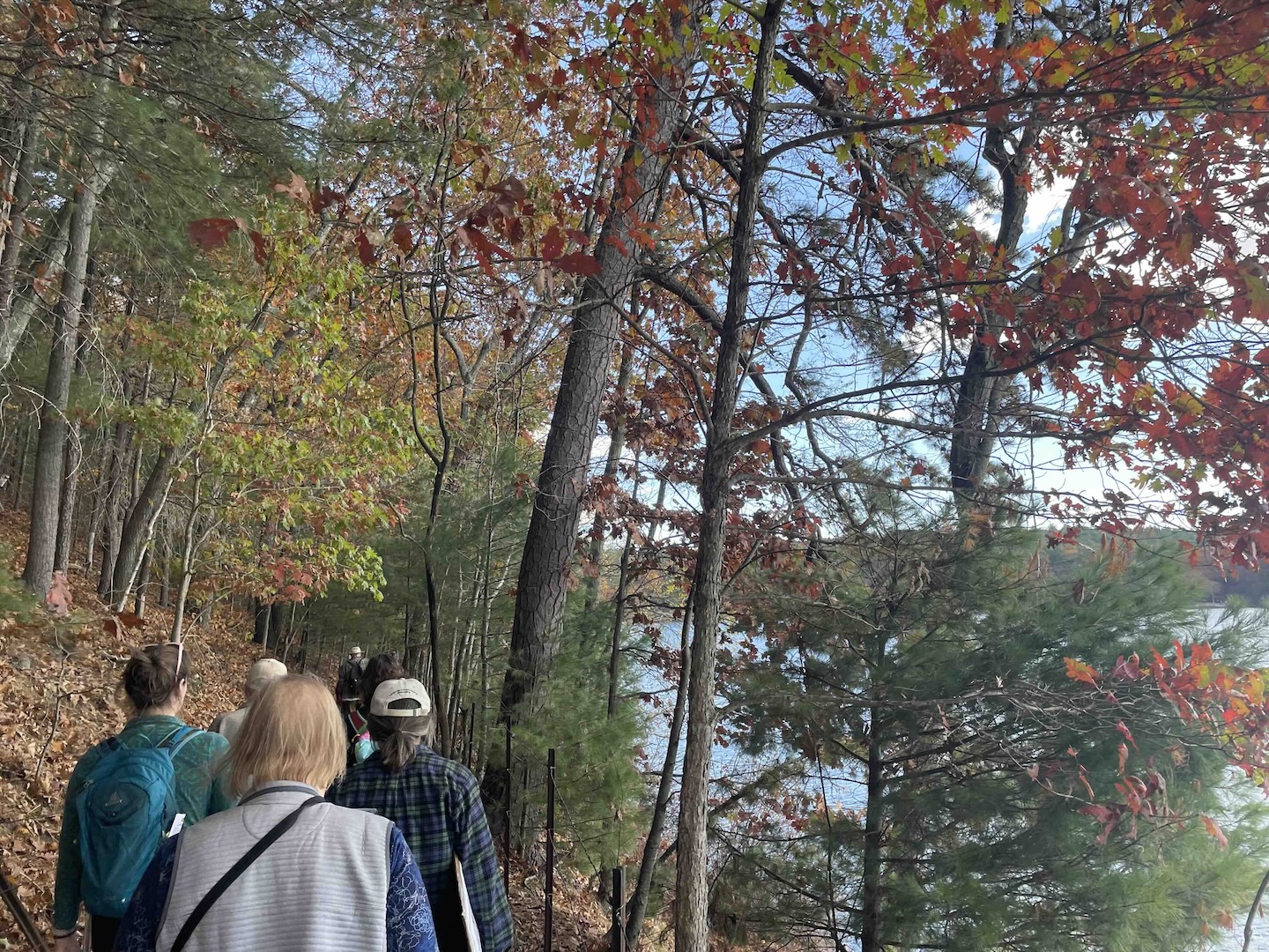 People walking alongside Walden pond