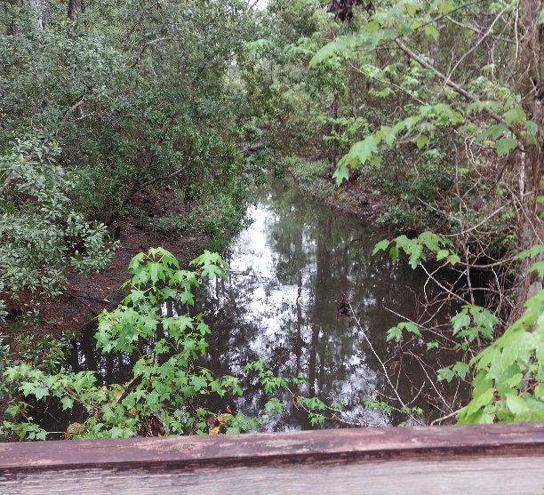 Seaton Creek