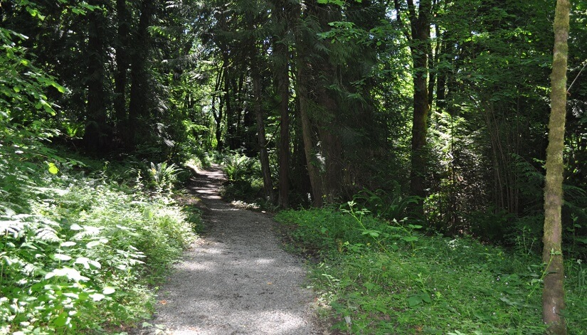 Whipple Creek Trail