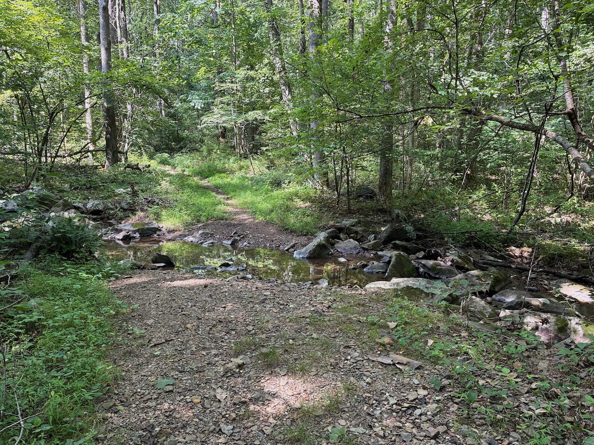 Turk Run Trail