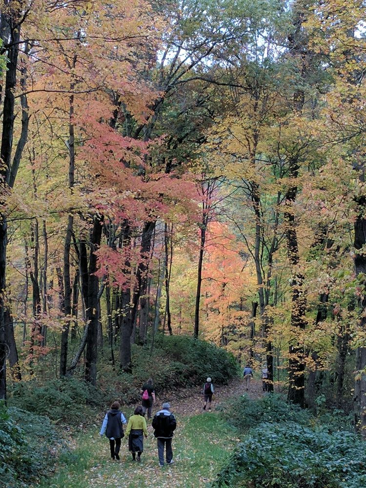 Trail at Hoffman Hills in fall color