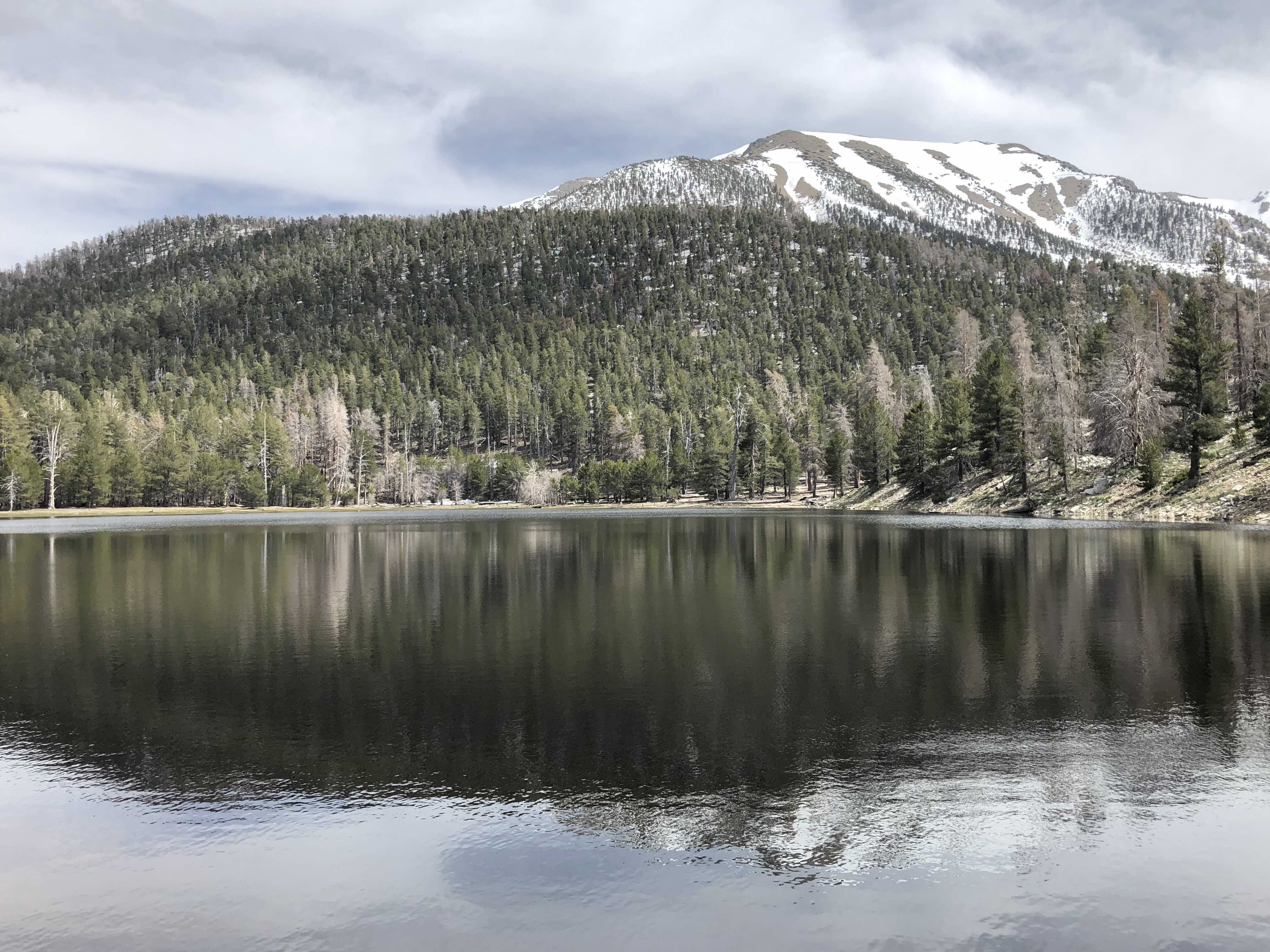 San Gorgonio Peak from Dry Lake