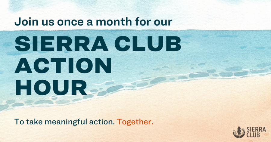 September Virtual Action Hour