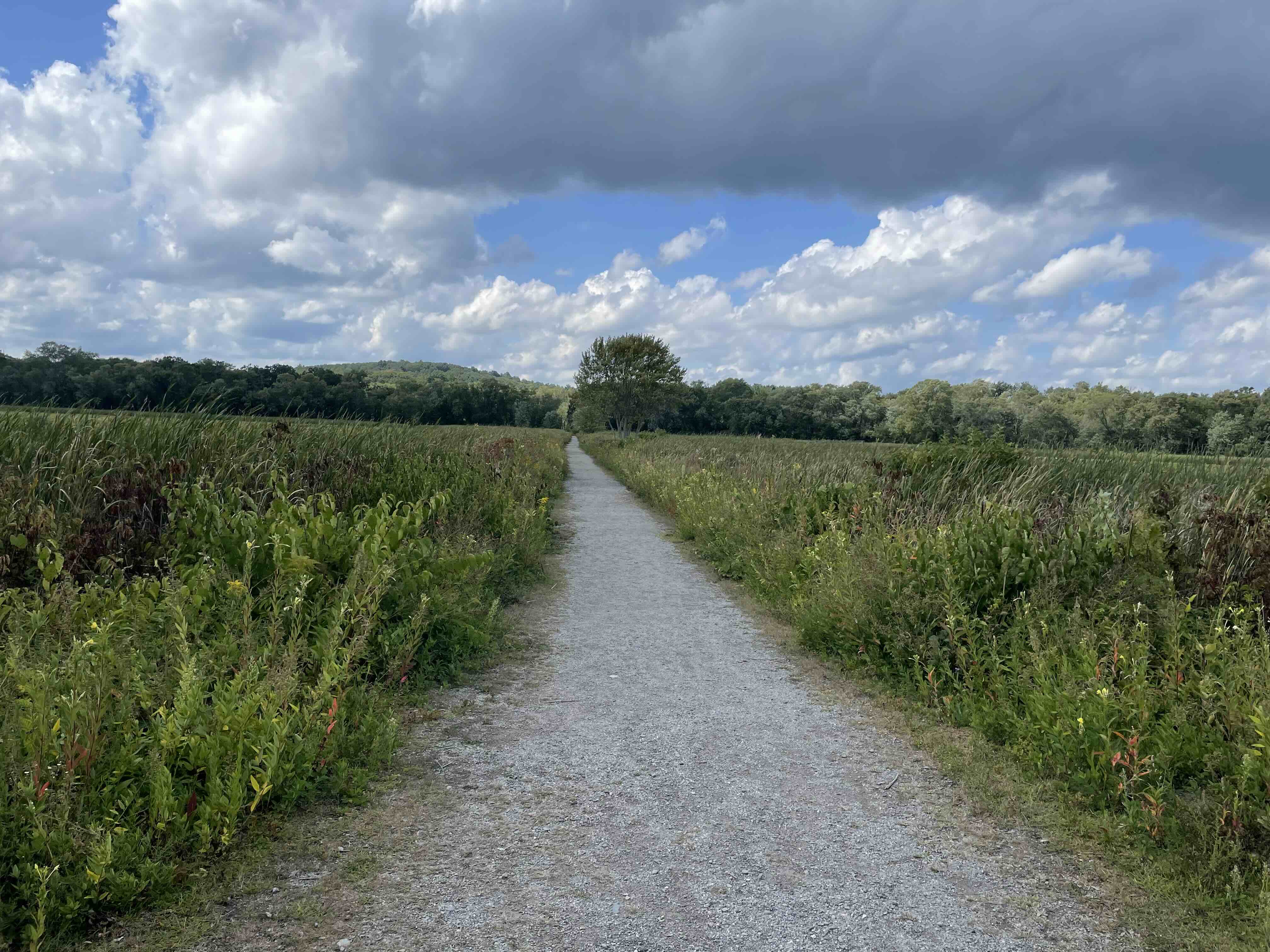 A gravel path through Concord's Great Meadows National Wildlife Refuge
