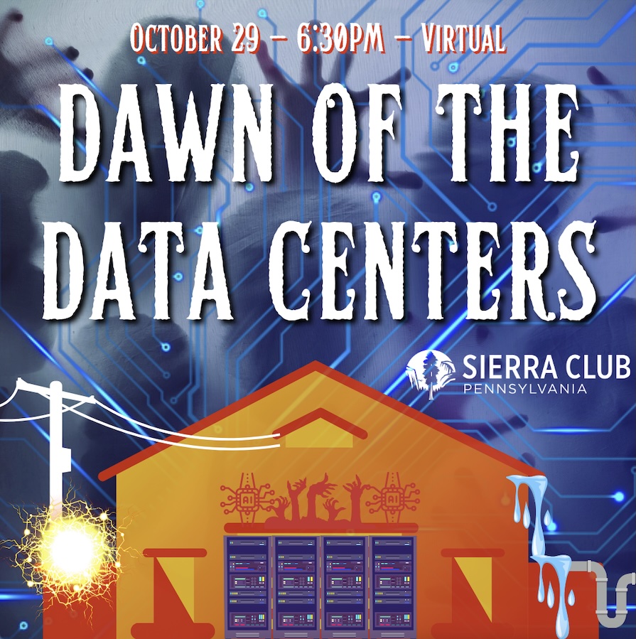 Dawn of the Data Centers