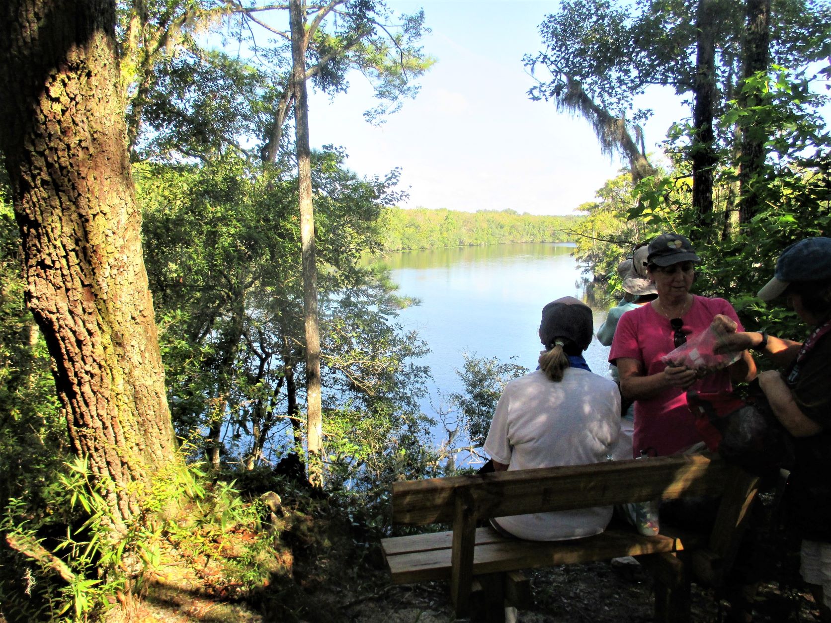 View from woods out to Black Creek.