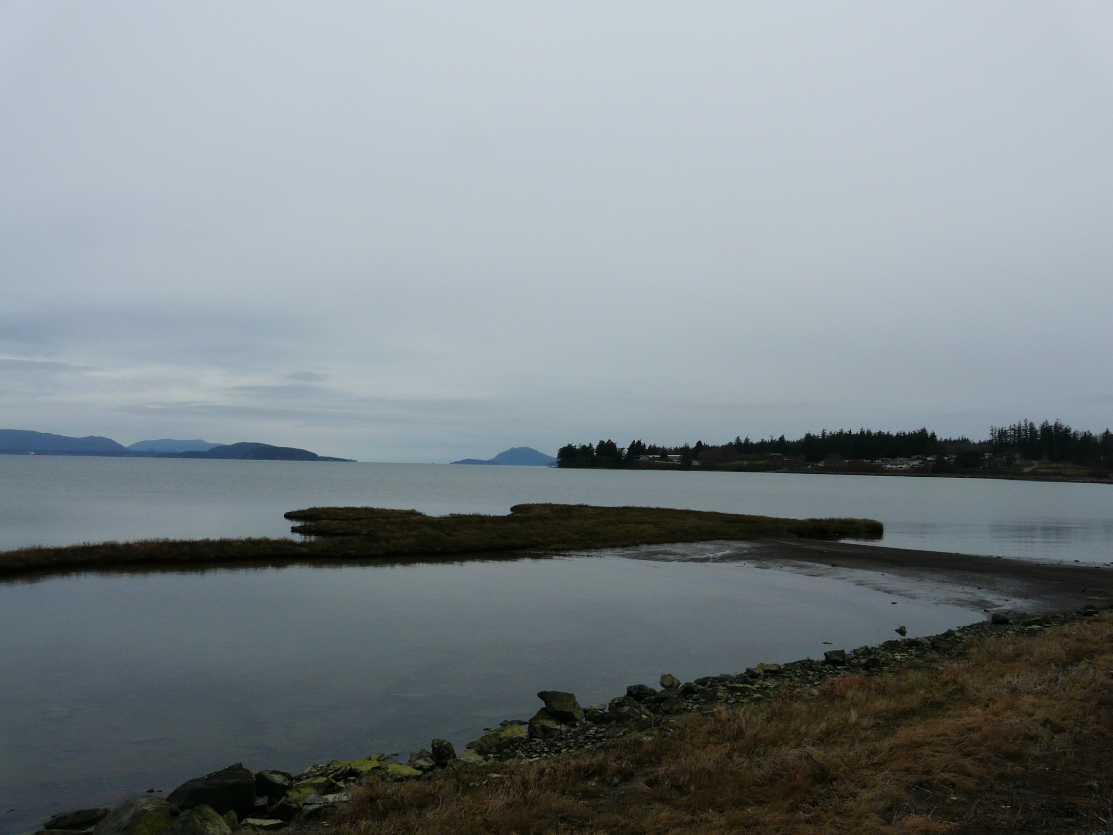 View from the Padilla Bay Trail