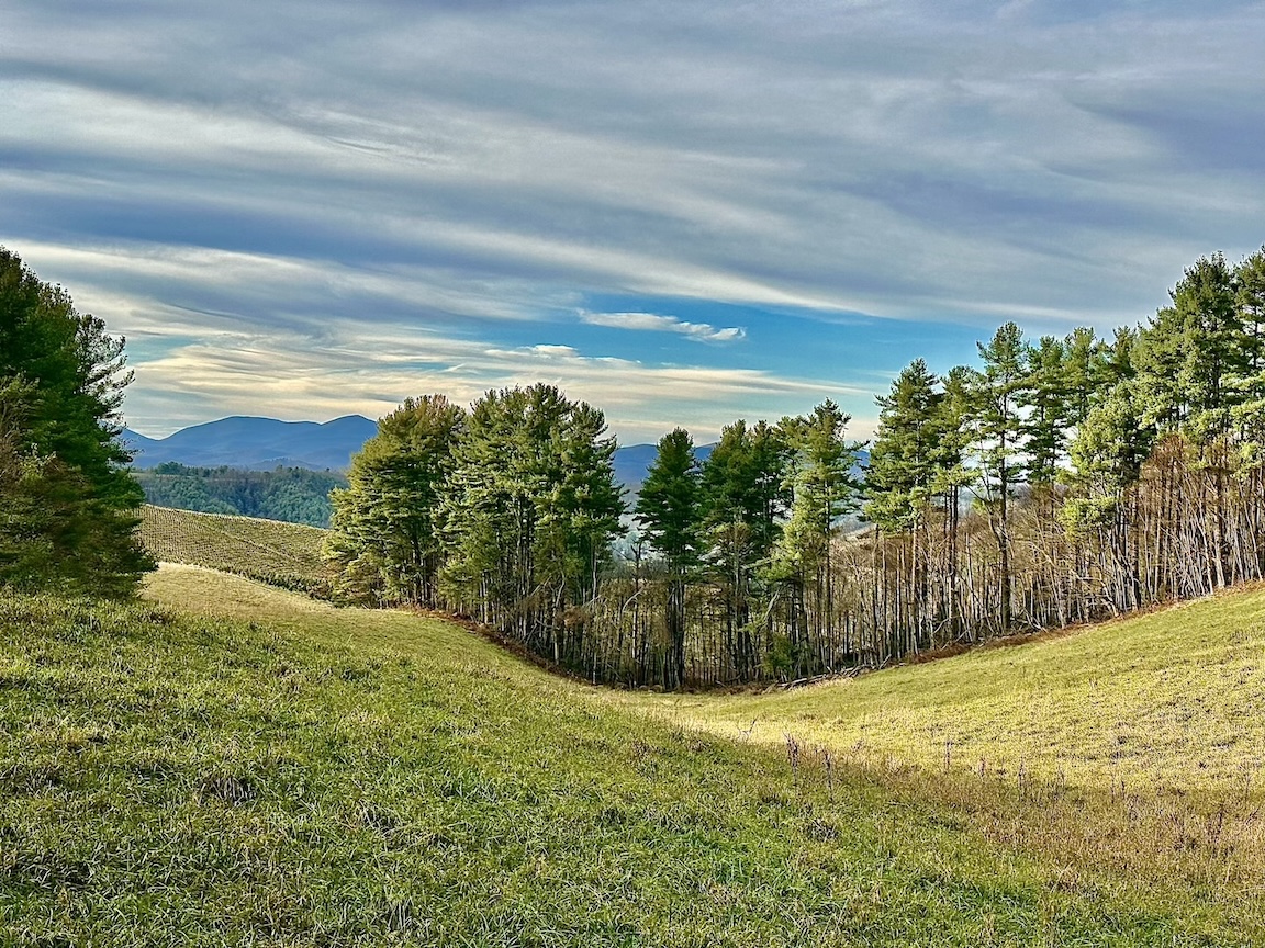 The trail begins at this field with distant views of Snake and Elk knob