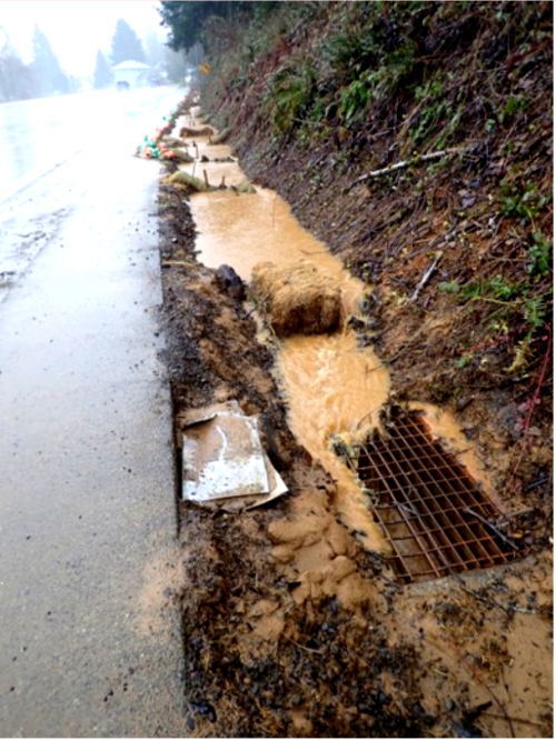 Water Pollution PNW Lee First 2025sm.jpg