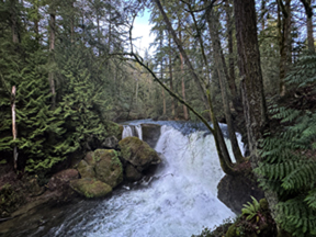 View of Whatcom Falls flowing into Whatcom Creek