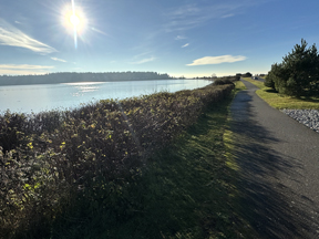Paved Semiahmoo Trail and shoreline of Drayton Harbor with forest in background.