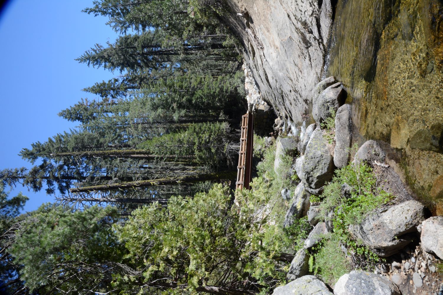 Cascade Creek