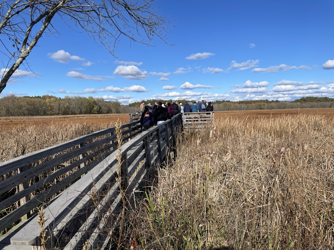 people out on an observation platform in concord's great meadows