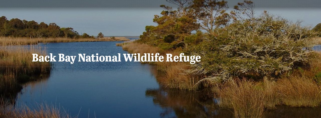 Back Bay National WIldlife Refuge